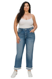 Plus Size High Rise Stretch Jeans