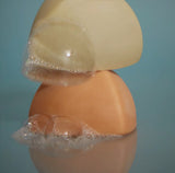 Solid Shampoo