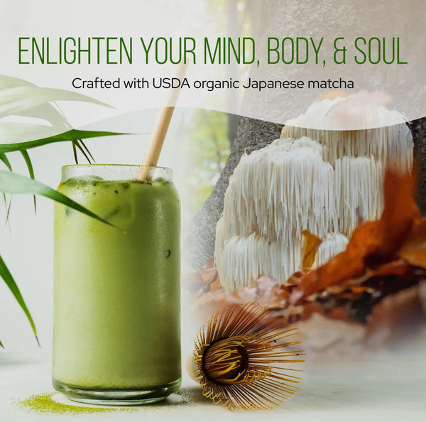 USDA Organic Lion Mane Matcha Mushroom Coffee