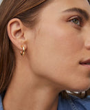 COLETTE HOOP EARRINGS