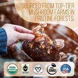 Organic Ground Mushroom Brazilian Coffee