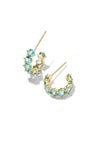 CAILIN CRYSTAL HUGGIE EARRINGS Kendra Scott