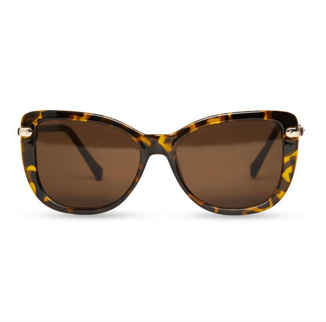 Sunglasses  Tortoise