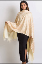 Load image into Gallery viewer, Embroidered Shawl women